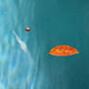 Meet your Posher, Emeline